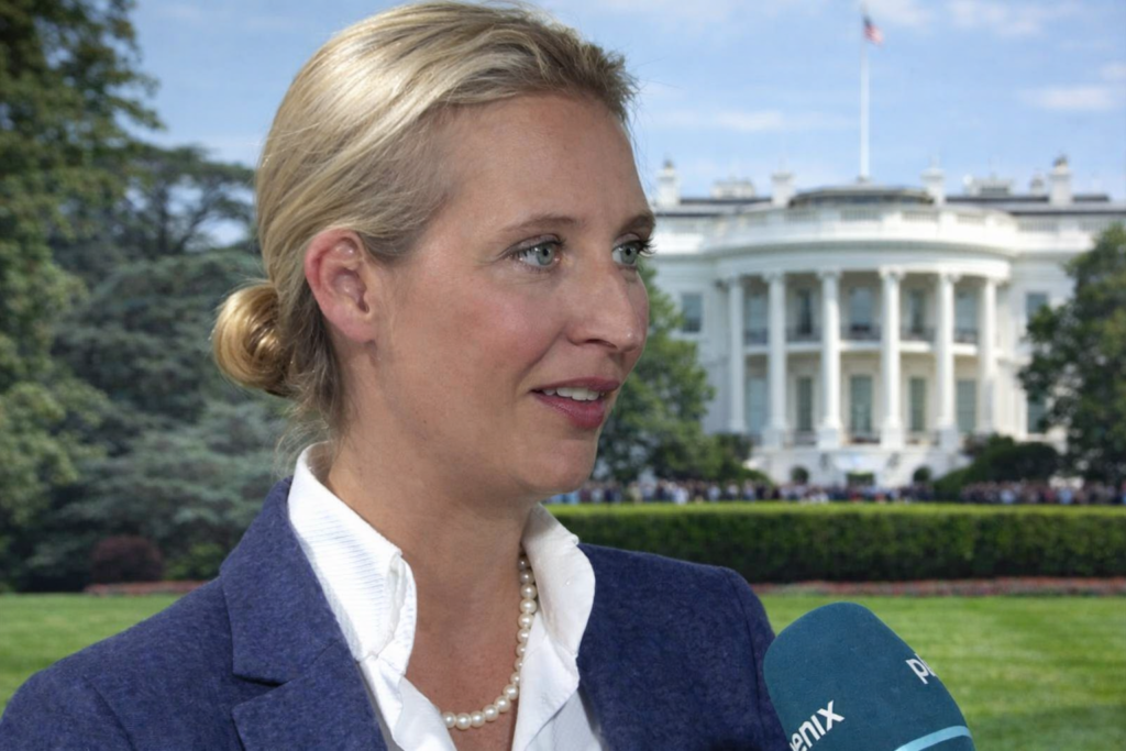 alice weidel ohrprothese